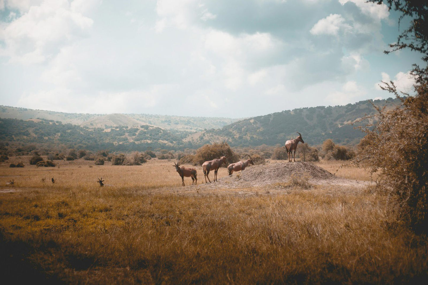 Rwanda